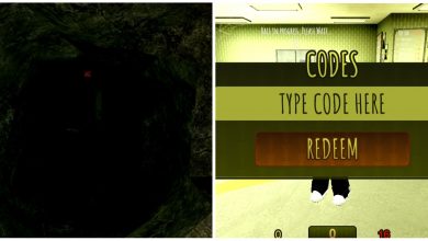 Backrooms Codes And Spooky Entrance