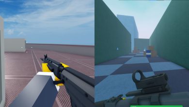 Bad Business Guns, Arena
