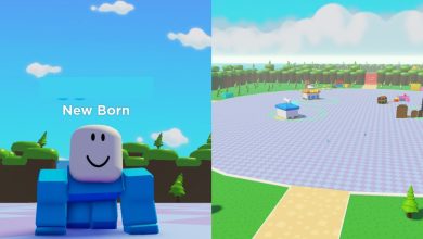 Baby Simulator - Baby And Open World, Main Hub Area