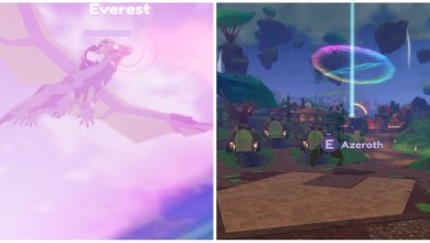 Dragon Adventures Dragon Flying And Open World Hub