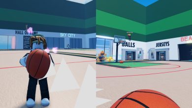 Dunking Simulator Character With Ball On The Court
