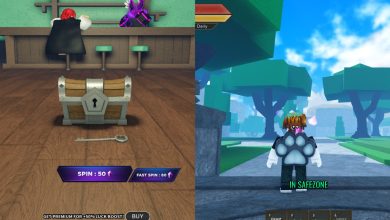 Fruit Battlegrounds Chest And Character