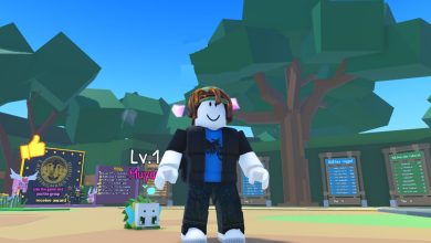 Pet Fighting Simulator Character With pet