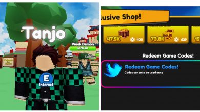 Anime Hero Simulator Codes And Character