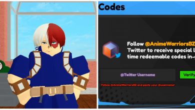 Anime Warriors Character And Codes Page