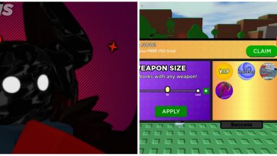 Shadovis RPG Codes And Main Character