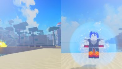 Xeno Online 2 World, Character, Sand, Beach