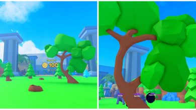 Timber Champions World And Trees