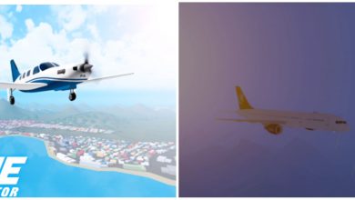 Airplane Simulator Codes, Jets, Landscape, And Beach