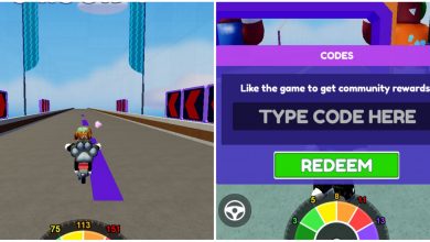 Max Speed Codes And Racing Bike