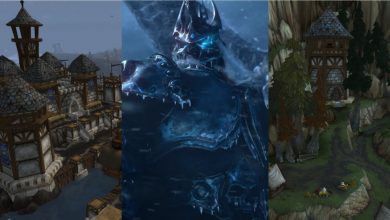 World Of Warcraft Classic Wrath Of The Lich King Alliance Vanguard