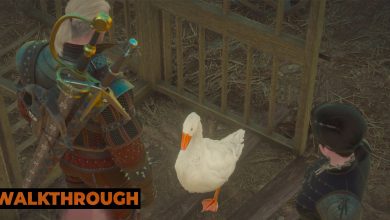 Geralt and Syanna look down at a Goose having freed it from a cage.