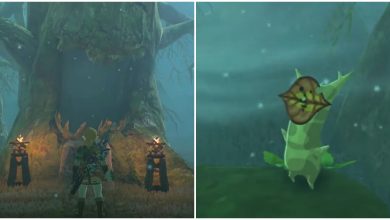 Split image screenshots of Link in front of a tree and Zooki the Korok in BOTW