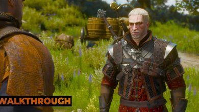 A screenshot of Geralt standing talking to a merchant in the hills of Toussaint.