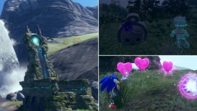 Sonic Amy Rose Memory Chips Koco