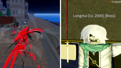 image of tushita in action next to image of longma