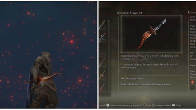 Split images showing the Tarnished and Scorpion's Stinger.