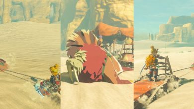 Link Rides Sand Seals And Sleighs In Gerudo Desert In The Legend of Zelda Tears of the Kingdom