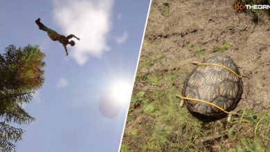 A collage showing someone flying because of a trap on the left and the shell of a turtle on the right.