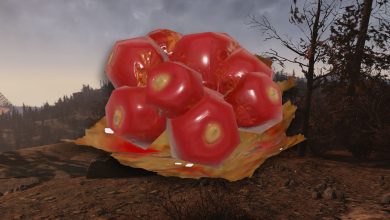 Fallout 76 Firecracker Berries Feature Image