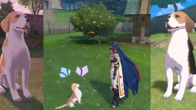 Two Beagle Eloysian Dogs On Either Side And Alear Adopting Middle One