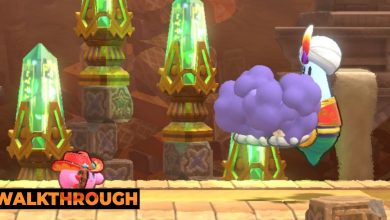 Kirby faces off against Mr Dooter in Kirby's Return To Dream Land Deluxe