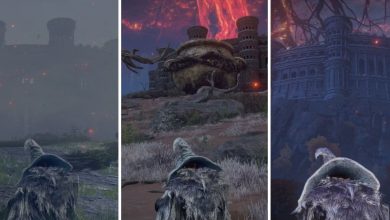 All Colosseums Limgrave Caelid Leyndell Ashen