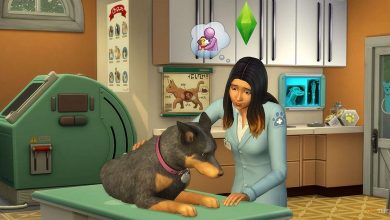 a vet sim checking on a dog at her practice in the sims 4 cats and dogs how to run a successful veteranarian clinic