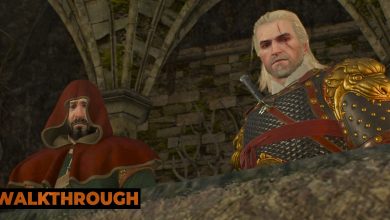 Geralt and a red-hooded professor look down at the camera with bemused expressions in The Witcher 3.