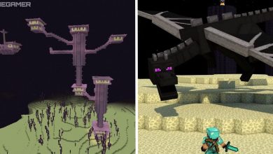 Cómo encontrar ciudades finales en Minecraft