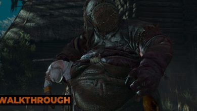 Ciri is picked up like a ragdoll by a supernaturally hideous witch at night in the Witcher 3.