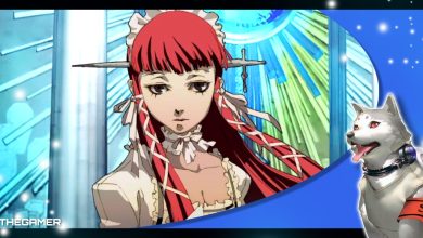 chidori yoshino in front of the entrance to tartarus in our blue koromaru persona 3 portable frame