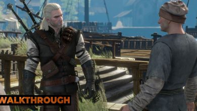 Geralt is approached by a drunk man asking him for money outside an inn.