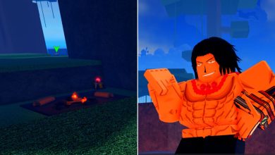 Roblox Project New World Fire Fist Closeup And Firepit