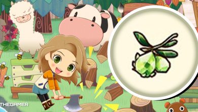 10-Story Of Seasons Pioneers Of Olive Town How To Get Olive Crystals