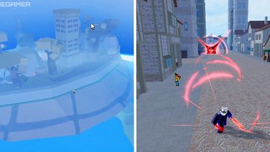 image of floating turtle next to image of rip_indra using cursed dual katanas