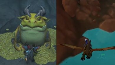 Flying on a dragon to search for fishing holes and the Great Swog World of Warcraft