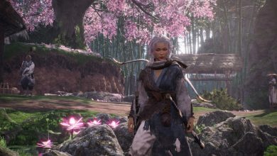 Player Standing Beneath Cherry Blossoms At Hidden Village