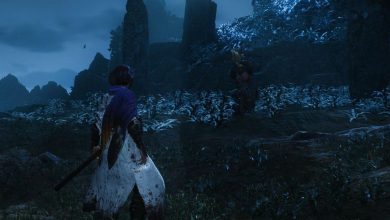 Wo Long Fallen Dynasty - standing in front of Zhang Liang as the boss fight begins