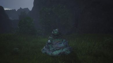 The Flan Prince in the field below the cliff in Hawk's Cry Cliff.