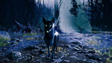 Destiny 2: ¿Dónde en la EDZ está Archie Quest Guide?