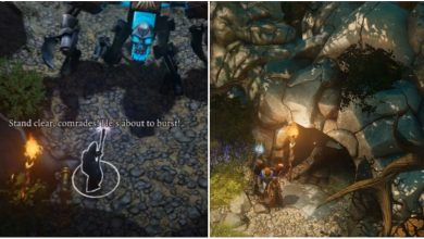 Divinity Original Sin Sparkmaster And Cave