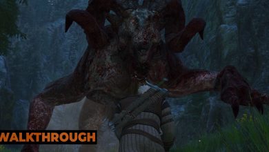 Geralt faces a massive chort as he fights in the hills around Kaer Morhen.