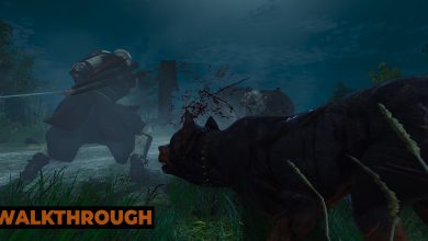 A hound prowls behind Geralt as the witcher slashes at a wolf, sending blood flying on a moonlit night.