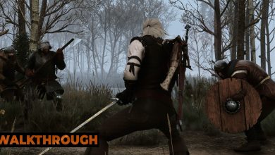 Geralt fights off a pair of bandits in the woods of Velen.