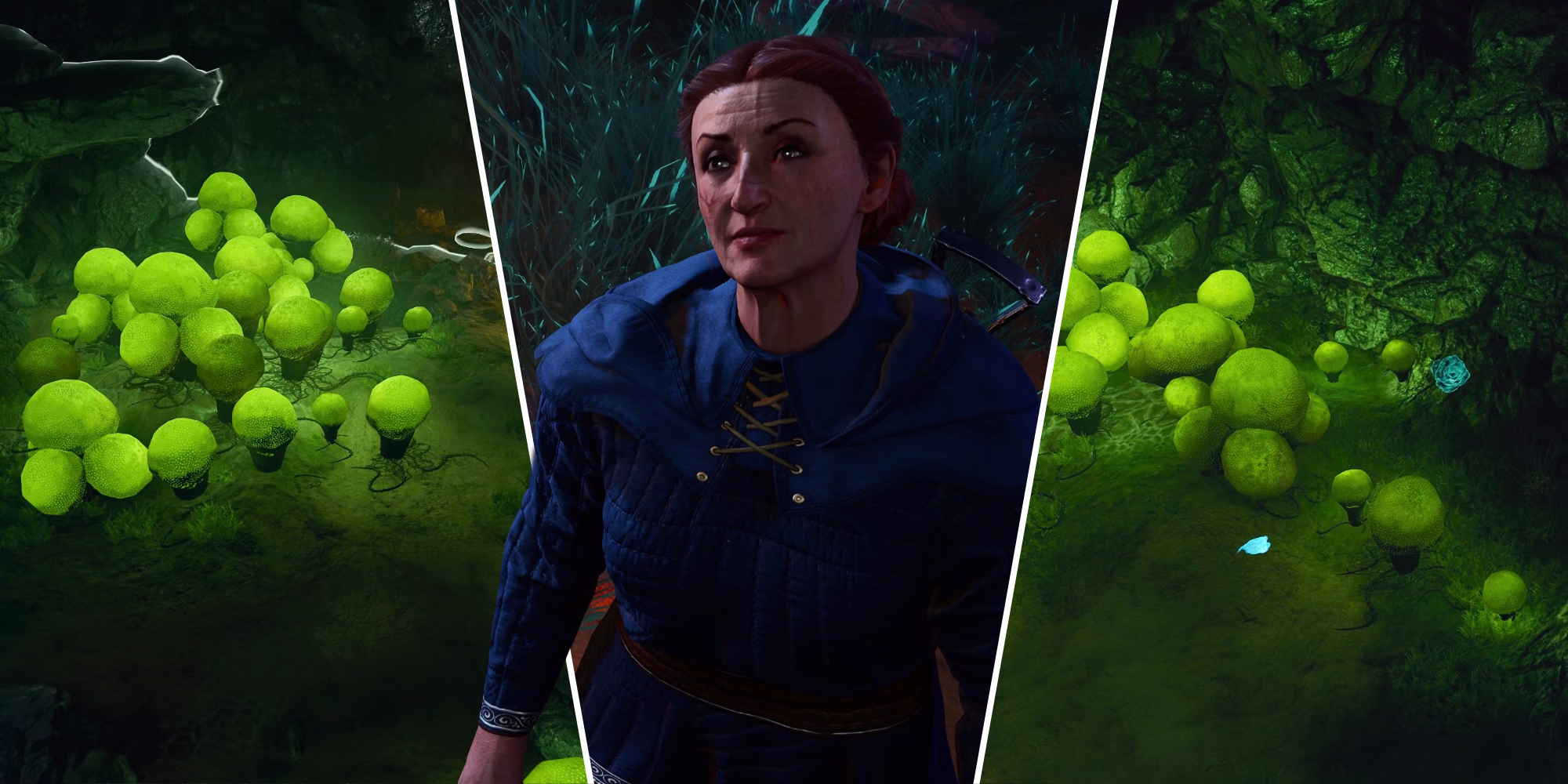 Collage de la misión del recolector de setas en Baldur's Gate 3