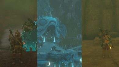 Dónde encontrar cada timón divino en The Legend Of Zelda: Tears Of The Kingdom