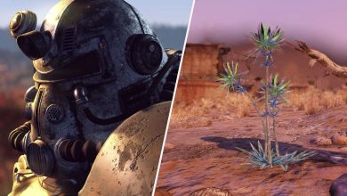Fallout 76 Character on the left and Thistle Flower on the right.