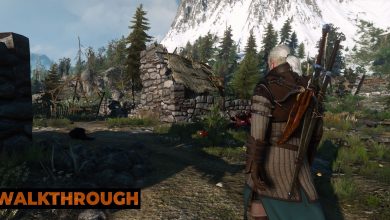 Geralt walks into a ruined town on his way through Skellige during the day.