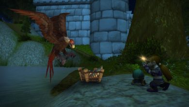 A Female Gnome Taking A Photo Of A Bird